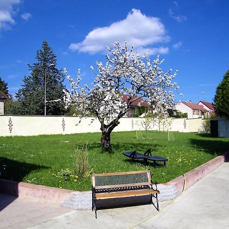 Grand Appartement Dans Villa Avec Parking Quartier Residentiel Joigny Værelse billede